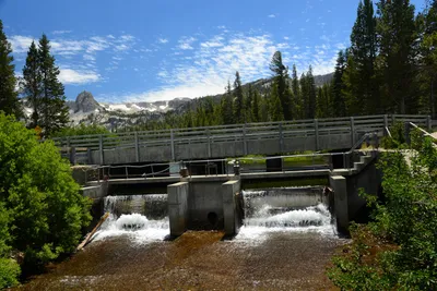 DSC_9990 (Large).JPG